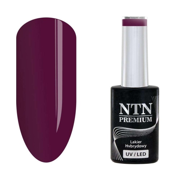 NTN Premium - Gellack - Monivärinen - Nr87 - 5g UV-geeli / LED