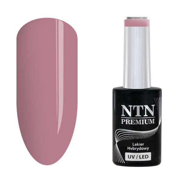 NTN Premium - Gellack - Day Dreaming - Nr58 - 5g UV-geeli / LED Pink