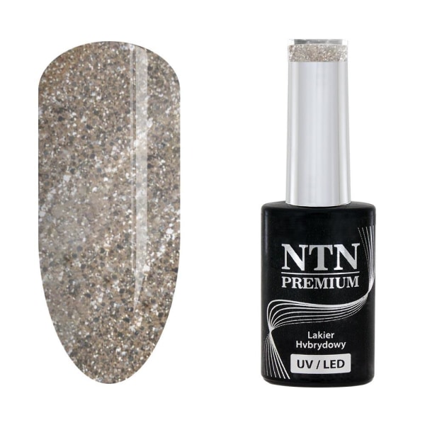 NTN Premium - Gel polish - Celebration - Nr169 - 5g UV gel/LED Silver grey