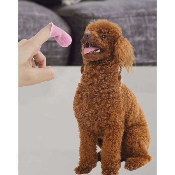 Hundetannbørste Pet Finger Tannbørste Tannrengjøring Multicolor
