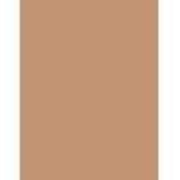 Foundation - Bourjois - Healthy Mix Clean & Vegan - 30ml - Deep Beige 55N - Medium till High Coverage Deep Beige 55N