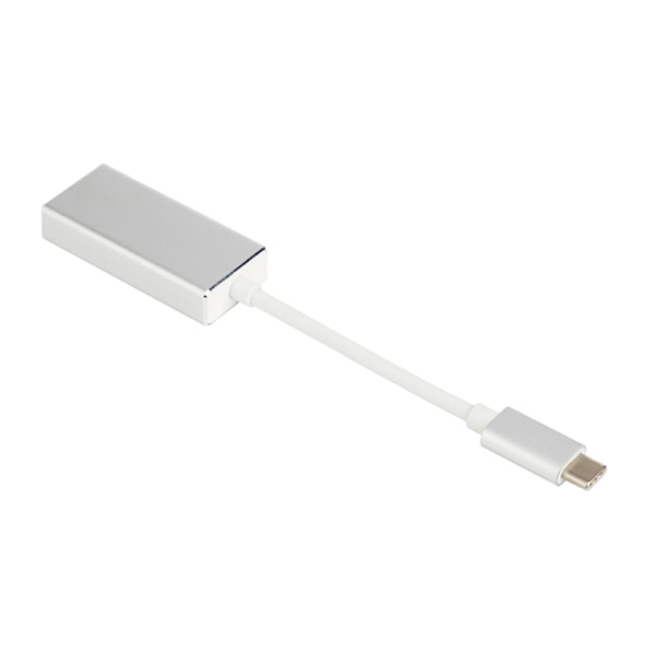 USB-C till Displayport Adapter Snabb - Silver
