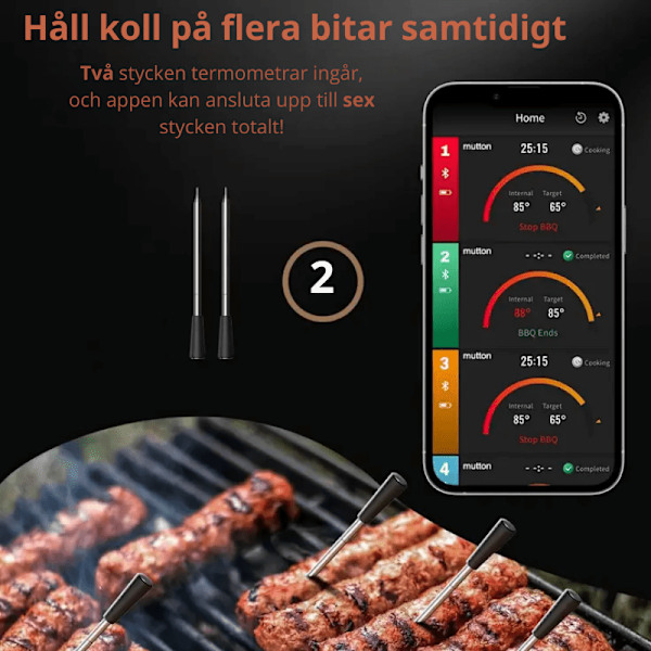 Dubbel Trådlös Stektermometer med App 2-Pack
