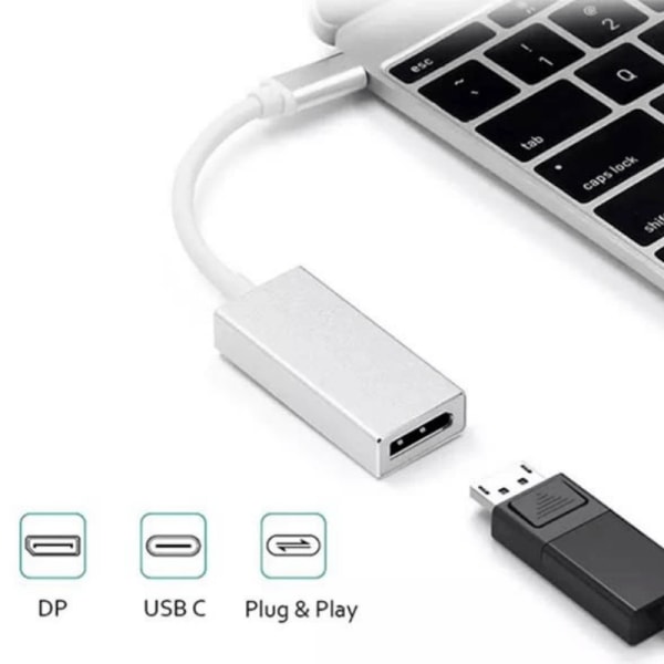 Snabb USB-C till DP Adapter Silver 2-Pack