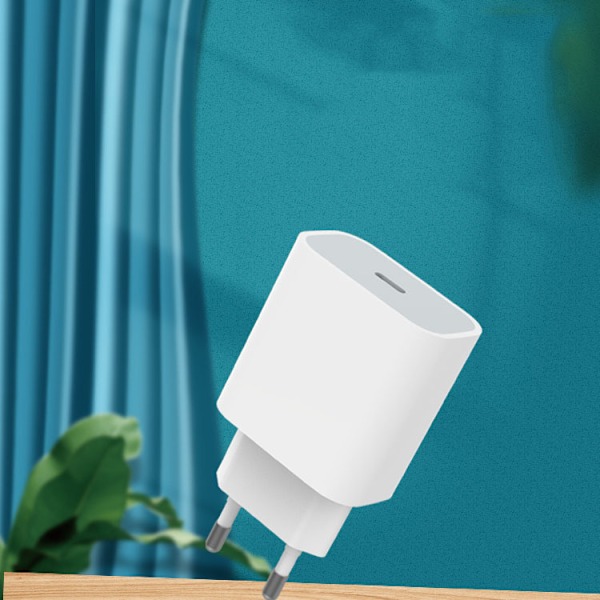Väggladdare USB-C Snabb + Lightning Kabel iPhone 1-Pack