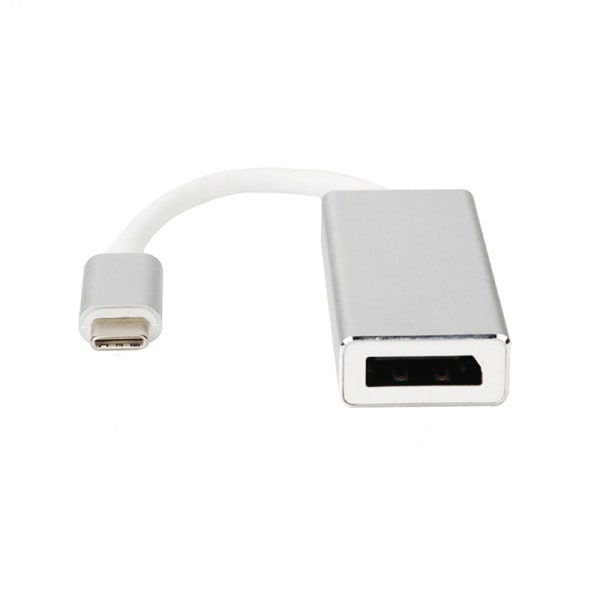 Snabb USB-C till DP Adapter Silver 2-Pack