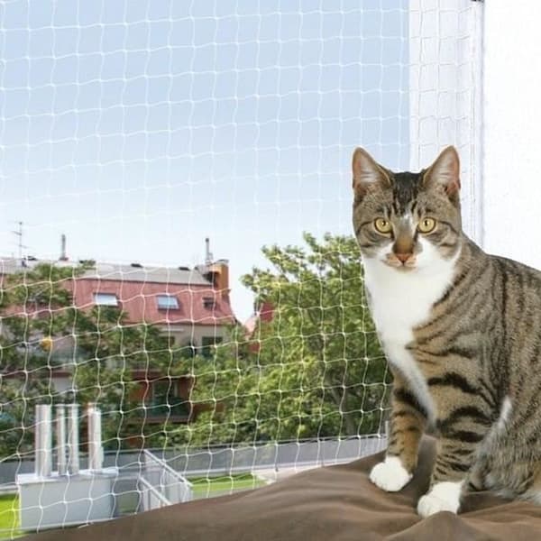 6x3m transparent kattnät