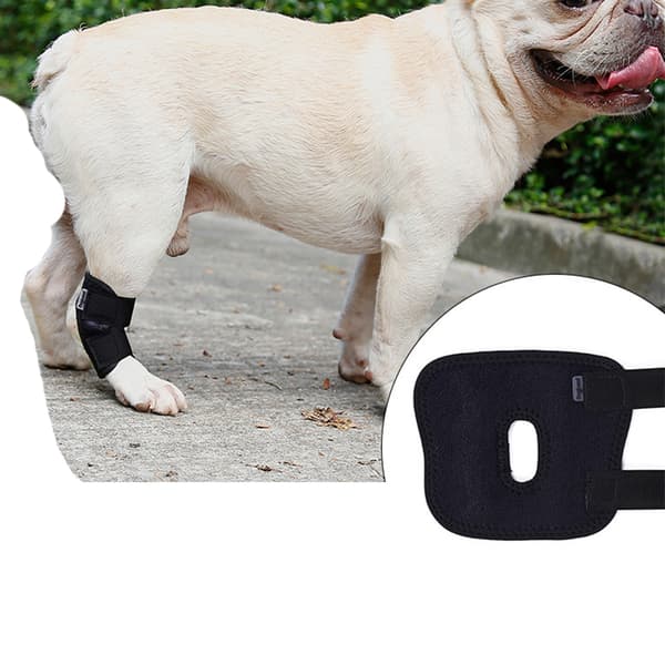Hundebenstøtte - Kort støttestrømpe til hunde L XL