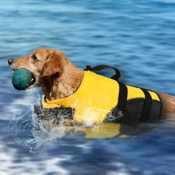Hunde-redningsvest, sikkerhedsvest til opdrift, til små og store hunde, rød
