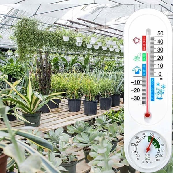 Växthustermometer, högprecisions inomhus väggmonterad termometer, väggmonterad växthustemperaturmätare