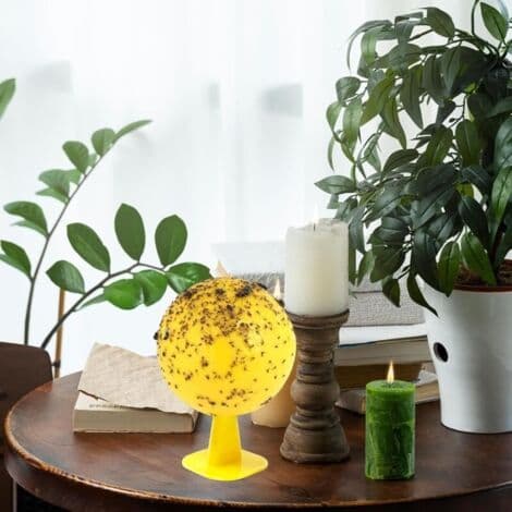 4-pack fruktflugfälla, klibbig boll, multifunktionell citrusformad flugfälla för fruktflugor