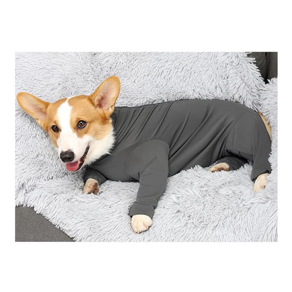 Jumpsuit til hunde - Justerbart design XXL M