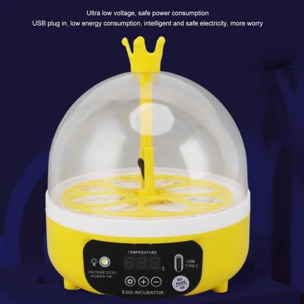 Miniinkubator - ABIL - 4 ägg - Automatisk vändning - Transparent lock