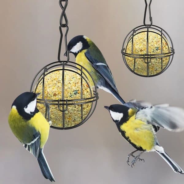 Fuglefoderautomater, 4 stk. udendørs fuglefoderautomat i metal med S-formede kroge (sort)