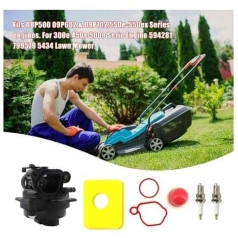 Karburator sæt til Briggs & Stratton, 799583, 591109, 591160, TRIMEC