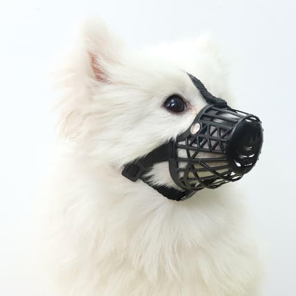 Black Dog Muzzle - Size 6 - Anti-Bite & Breathable