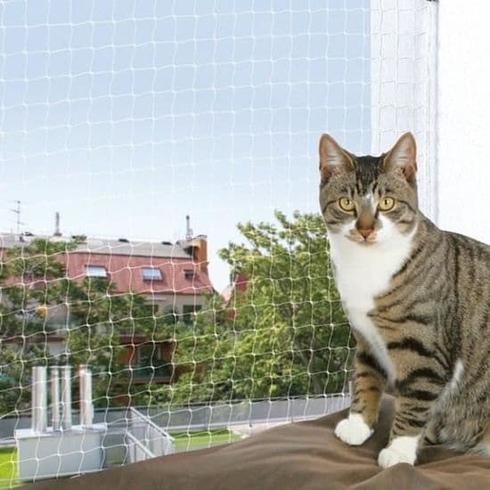 6x3m transparent kattnät