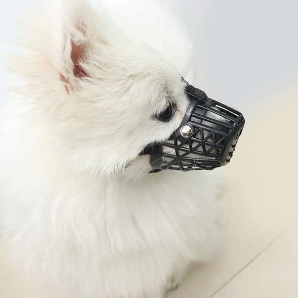 Black Dog Muzzle - Size 6 - Anti-Bite & Breathable