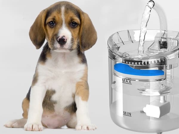 Water Dispenser for Dog & Cat - Automatic Water Fountain