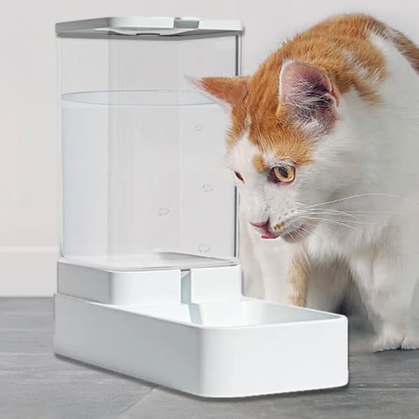 Automatisk vattendispenser för katter - Vattendispenser för hundar, utfodringsset för husdjur, vattendispenser - 3,8L