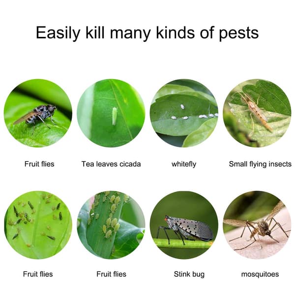 Sticky Trap for Pests Fly Catcher 20-pack Yellow 20x10 cm