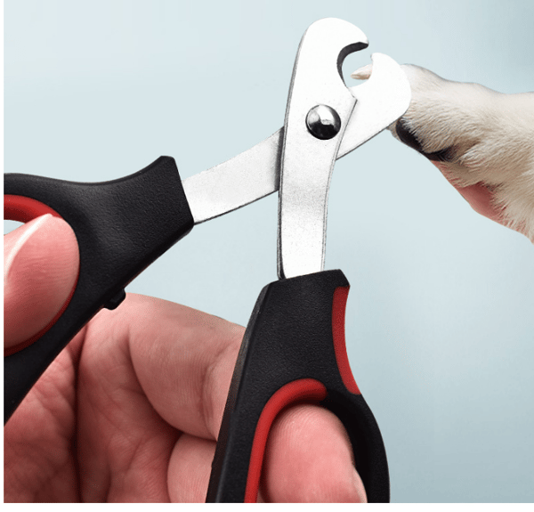 Small Nail Clipper with Guard