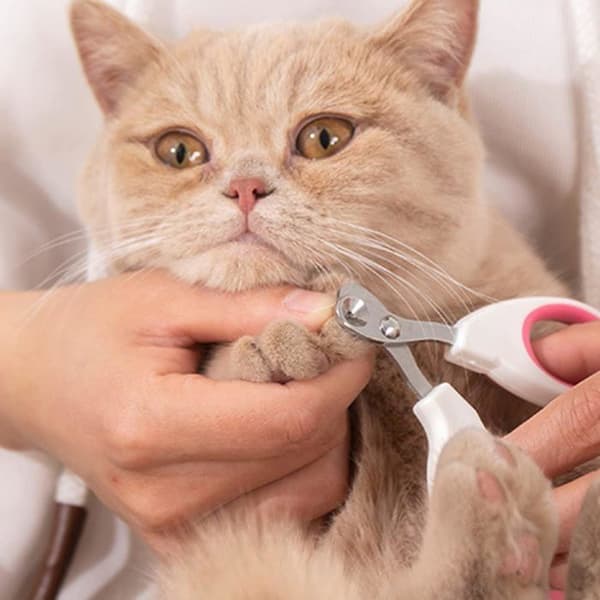 Kattpotesaks, katteklo-klippere med 2 mm konisk hull, kattepote-klippere, tilbehør, rosa