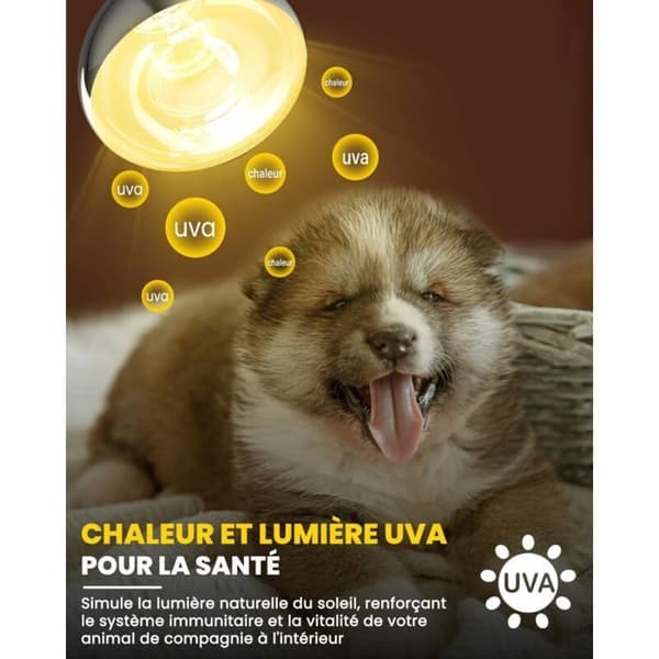 Set med 2 x 250W E271 Infrarött Rött Ljus + 1 x Dagsljus Värmelampor för Fjäderfä