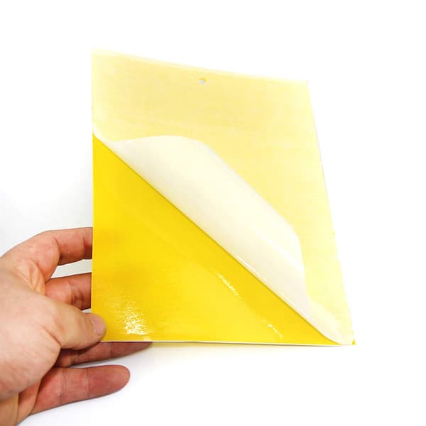 Sticky Trap for Pests Fly Catcher 20-pack Yellow 20x10 cm