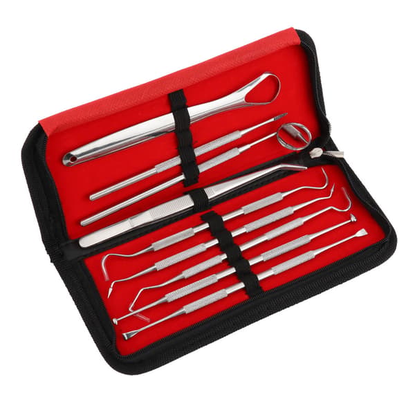 Dental Care Set - 9 Pieces with Case Silver