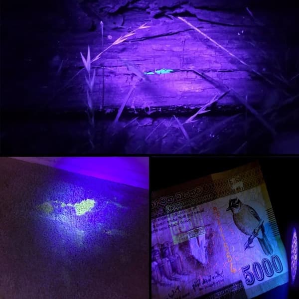 UV-taskulamppu 51/100 LEDillä - suuri