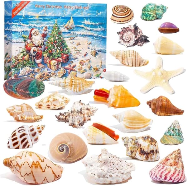 Adventskalender Seashell 2025 Julkalender 24 dagar med snäckor och strandtema dekorationer