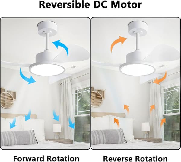 Ceiling fan with LED lighting 76 cm, 40 W, remote control and wall switch, 6 speeds, silent, 3 ABS blades Black & Walnut 76cm-Remote Control