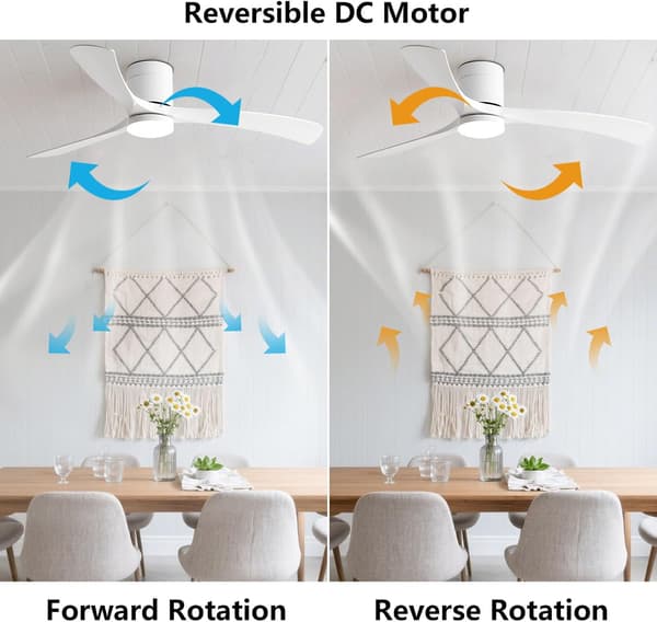 Ceiling fan with LED lighting 96/116 cm, remote control, 6 speeds, low profile, reversible DC motor, ABS blades Black & Walnut 116cm-Wall Control+3 Light Colors