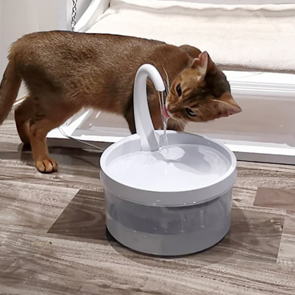 Kattvattendispenser, Automatisk Vattenfontän, Hygienisk Cool Drin