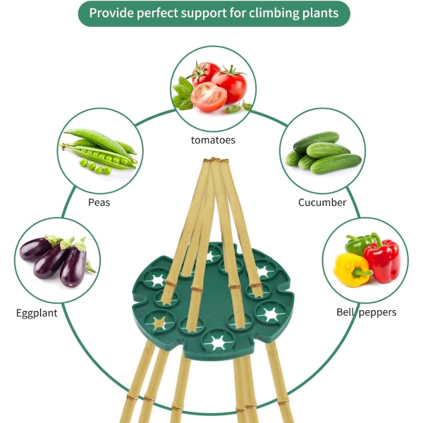 Sæt med 6 støtte til bambusstænger, klatreplanter, tomatplanter