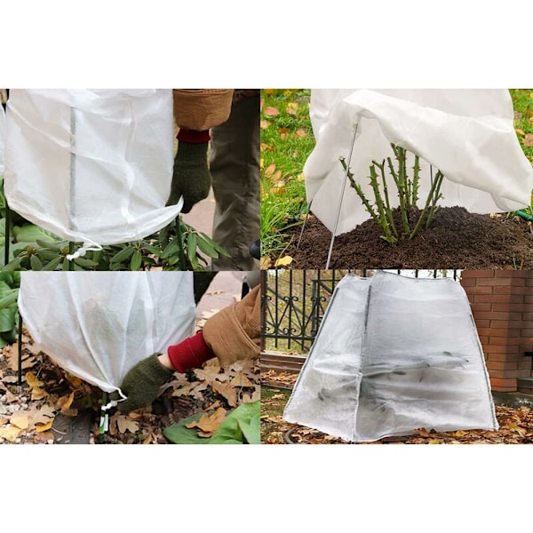 Vinterdækken til planter, vinterdækken til planter, vintersejl, vi