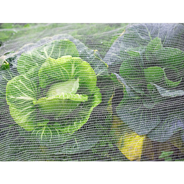 Fintmasket insektsnett, (3*10m) insektsnett, hagenett, insektsnett