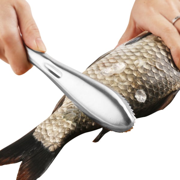 1 st fiskhackare, fiskfjällare, fiskfjällskrapa, fiskfjäll