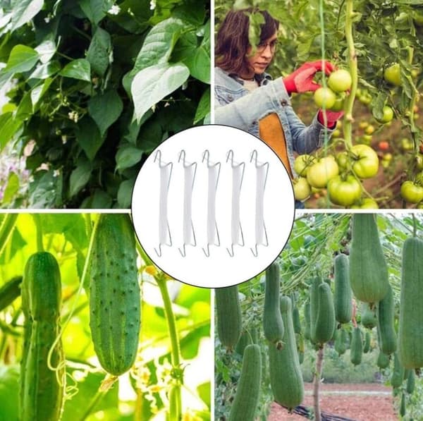 10 stk tomatplanteklips med wire