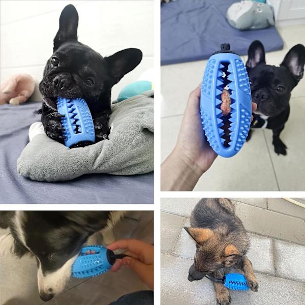 Grønn hundeleke, hundetyggeleke okkupasjon intelligens utdanning hund