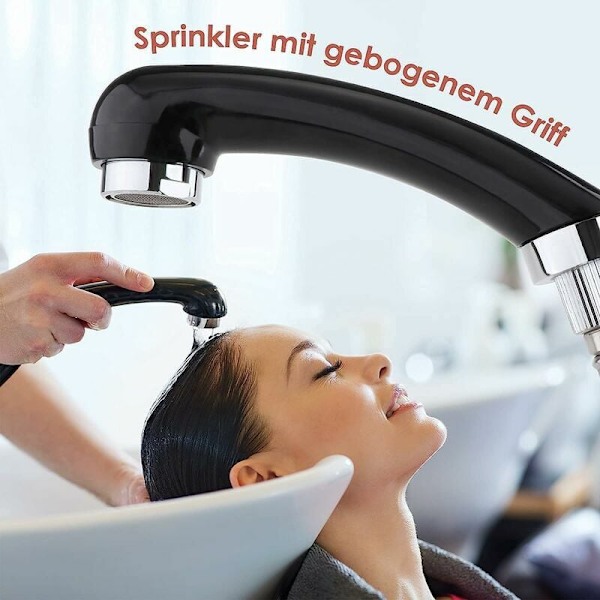 Handduschhuvud (med handfatsslang)