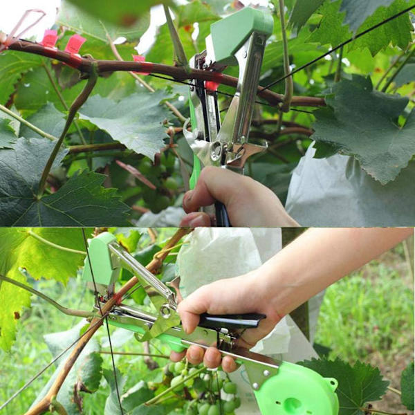 Verktyg för bindning av vinrankor, verktyg för bindning av grenar, för tomater Vineya