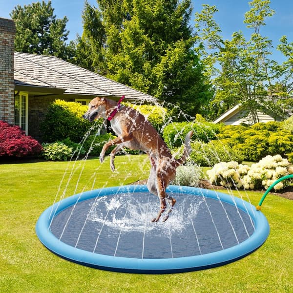 Splash Sprinkler Måtte til Hunde - 150cm Tyk Hundepool Badekar, Sum