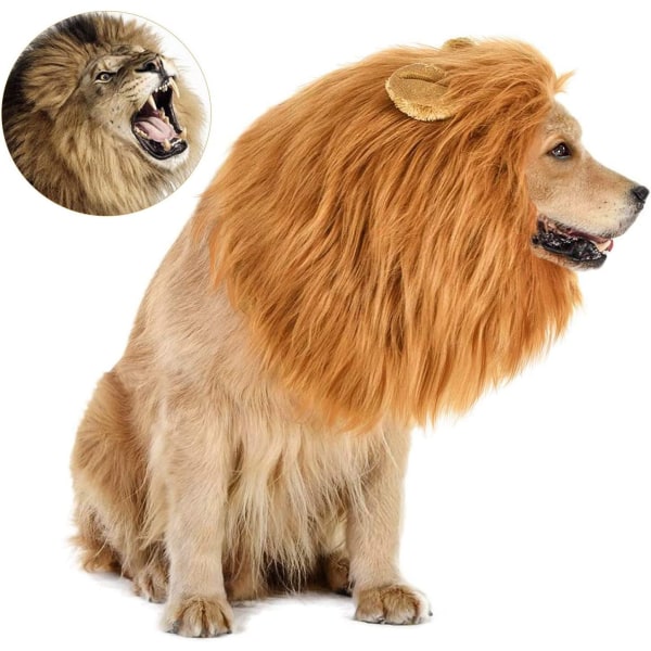 Leijonaharja-asu koiralle, peruukki suuriin hienoihin hiuksiin