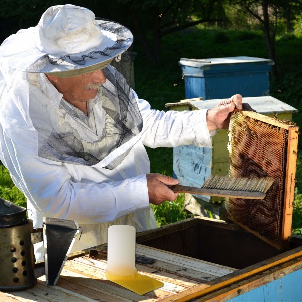 4-pack bimatare Hive Biodling Vattendispenser Honung Hive Ent