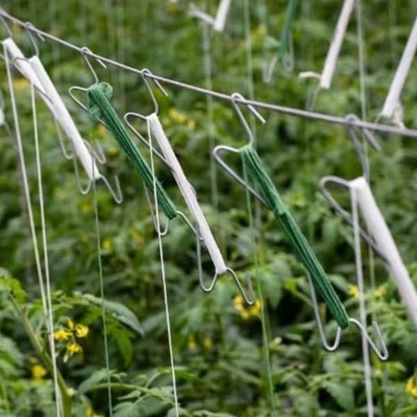 10 stk tomatplanteklips med wire