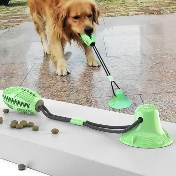 Hundleksaker, hundsugkopp leksak, multifunktion husdjur molar, tand