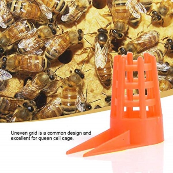 Honey Bee Comb Push-in drottningcellskydd med tips för biodling