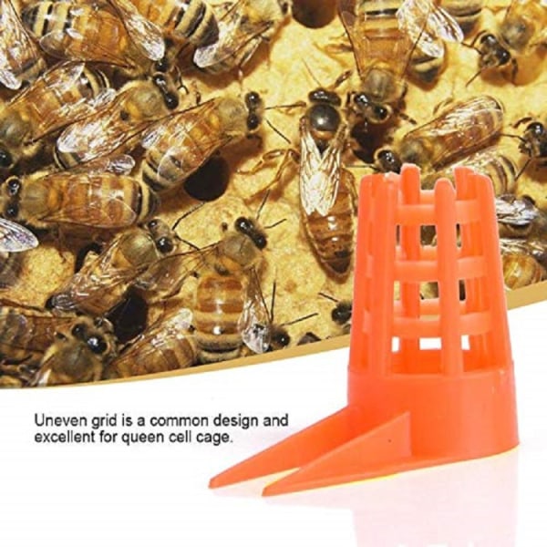 Honey Bee Comb Push-in Queen Cell Protector med tips för biodling